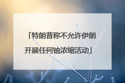 特朗普称不允许伊朗开展任何铀浓缩活动