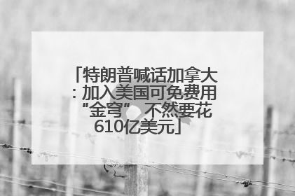特朗普喊话加拿大：加入美国可免费用“金穹” 不然要花610亿美元