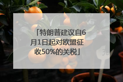 特朗普建议自6月1日起对欧盟征收50%的关税
