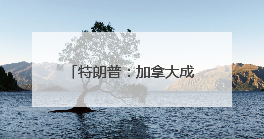 特朗普：加拿大成为美国第51州可免费用“金穹”