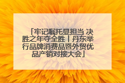 牢记嘱托显担当 决胜之年夺全胜丨丹东举行品牌消费品暨外贸优品产销对接大会