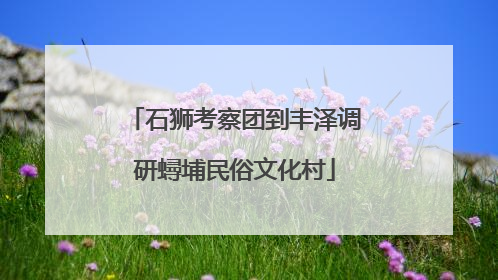 石狮考察团到丰泽调研蟳埔民俗文化村