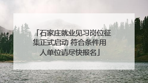 石家庄就业见习岗位征集正式启动 符合条件用人单位请尽快报名