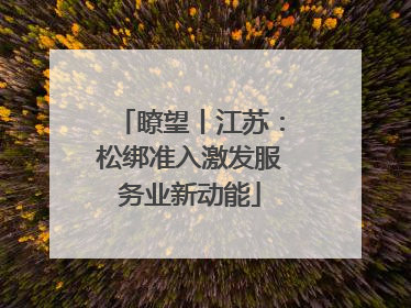瞭望丨江苏：松绑准入激发服务业新动能