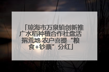 琼海市万泉镇创新推广水稻种植合作社盘活撂荒地 农户喜提“粮食+钞票”分红