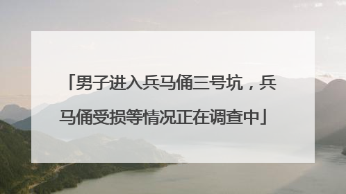 男子进入兵马俑三号坑，兵马俑受损等情况正在调查中