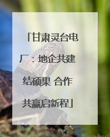 甘肃灵台电厂：地企共建结硕果 合作共赢启新程