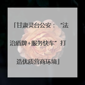 甘肃灵台公安：“法治盾牌+服务快车”打造优质营商环境