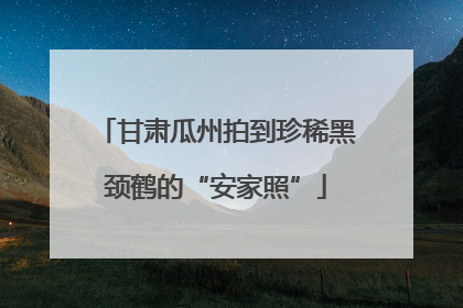 甘肃瓜州拍到珍稀黑颈鹤的“安家照”