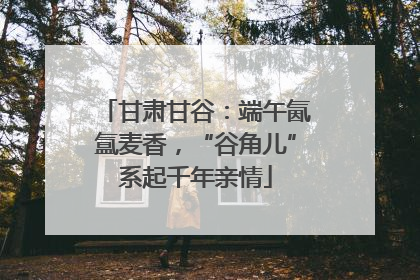 甘肃甘谷：端午氤氲麦香，“谷角儿”系起千年亲情