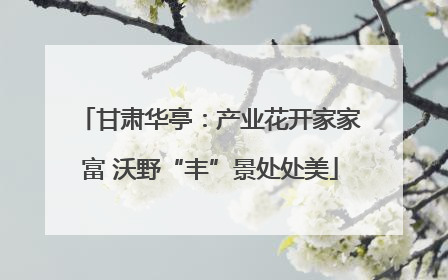 甘肃华亭：产业花开家家富 沃野“丰”景处处美