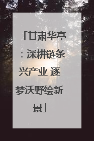 甘肃华亭：深耕链条兴产业 逐梦沃野绘新景