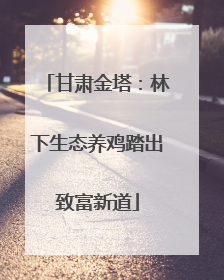 甘肃金塔：林下生态养鸡踏出致富新道