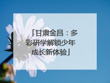 甘肃金昌：多彩研学解锁少年成长新体验