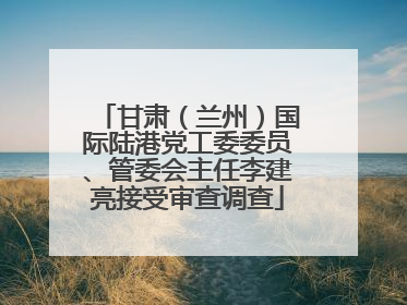 甘肃（兰州）国际陆港党工委委员、管委会主任李建亮接受审查调查
