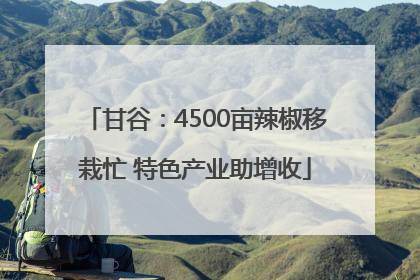 甘谷：4500亩辣椒移栽忙 特色产业助增收