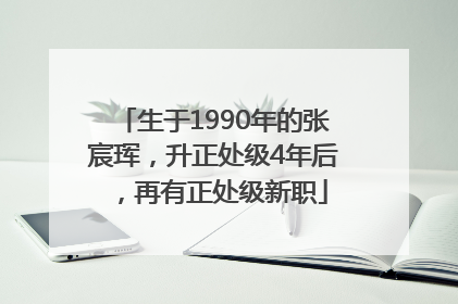 生于1990年的张宸珲，升正处级4年后，再有正处级新职