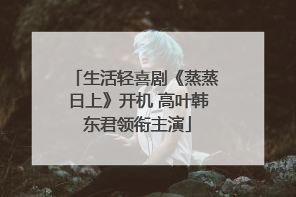 生活轻喜剧《蒸蒸日上》开机 高叶韩东君领衔主演