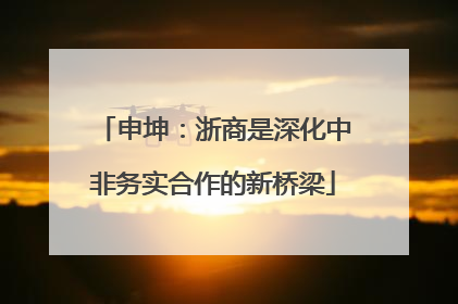 申坤：浙商是深化中非务实合作的新桥梁