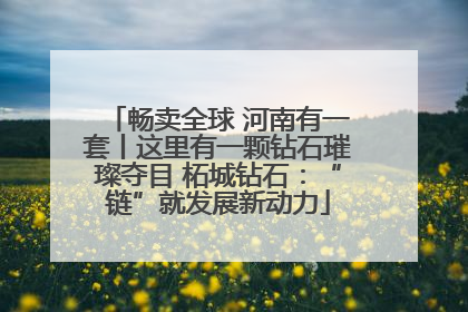 畅卖全球 河南有一套丨这里有一颗钻石璀璨夺目 柘城钻石：“链”就发展新动力