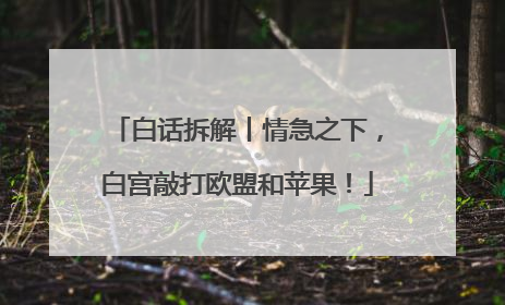 白话拆解丨情急之下，白宫敲打欧盟和苹果！