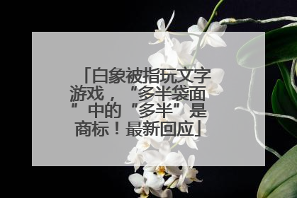 白象被指玩文字游戏，“多半袋面”中的“多半”是商标！最新回应