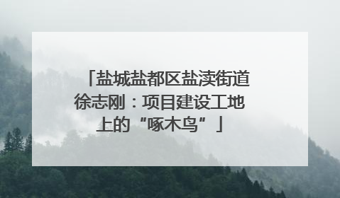 盐城盐都区盐渎街道徐志刚：项目建设工地上的“啄木鸟”
