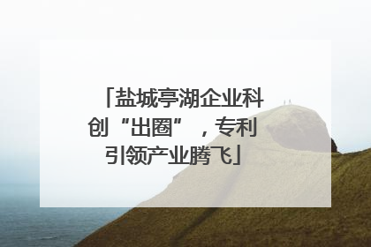 盐城亭湖企业科创“出圈”，专利引领产业腾飞