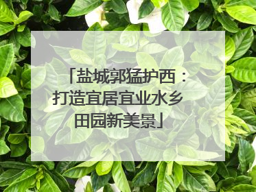 盐城郭猛护西：打造宜居宜业水乡田园新美景