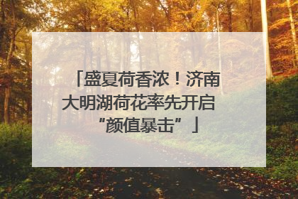 盛夏荷香浓！济南大明湖荷花率先开启“颜值暴击”