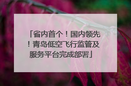 省内首个！国内领先！青岛低空飞行监管及服务平台完成部署