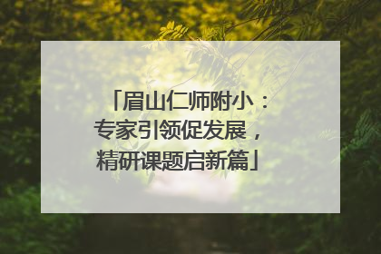 眉山仁师附小：专家引领促发展，精研课题启新篇