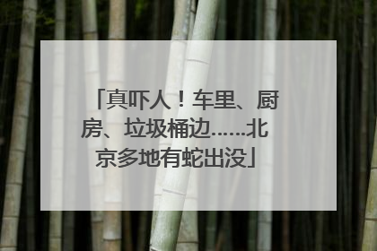 真吓人！车里、厨房、垃圾桶边……北京多地有蛇出没