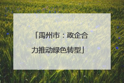 禹州市：政企合力推动绿色转型