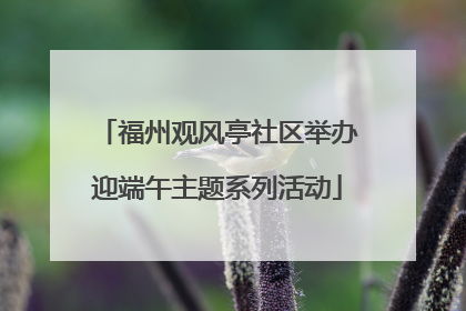 福州观风亭社区举办迎端午主题系列活动