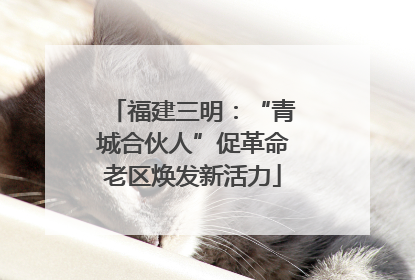 福建三明：“青城合伙人”促革命老区焕发新活力
