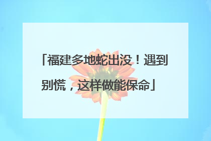 福建多地蛇出没！遇到别慌，这样做能保命