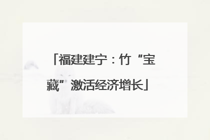 福建建宁：竹“宝藏”激活经济增长