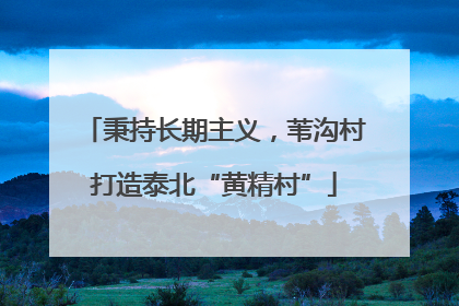 秉持长期主义，苇沟村打造泰北“黄精村”