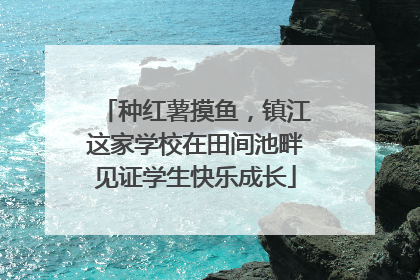 种红薯摸鱼，镇江这家学校在田间池畔见证学生快乐成长