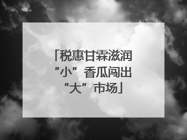 税惠甘霖滋润“小”香瓜闯出“大”市场