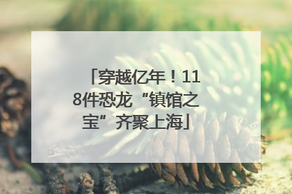 穿越亿年！118件恐龙“镇馆之宝”齐聚上海