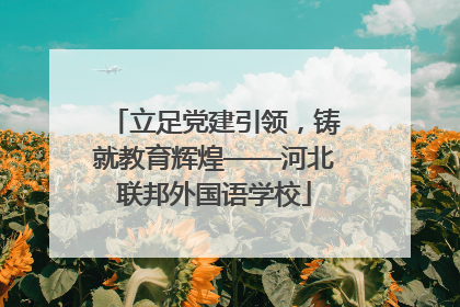 立足党建引领，铸就教育辉煌——河北联邦外国语学校