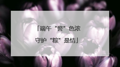 端午“警”色浓 守护“粽”是情