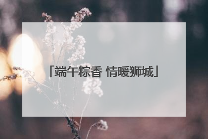 端午粽香 情暖狮城
