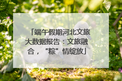 端午假期河北文旅大数据报告：文旅融合，“粽”情绽放