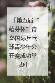 第五届“萌芽杯”青岛国际乒乓球青少年公开赛成功举办