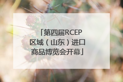 第四届RCEP区域（山东）进口商品博览会开幕