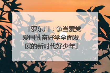 罗东川：争当爱党爱国勤奋好学全面发展的新时代好少年