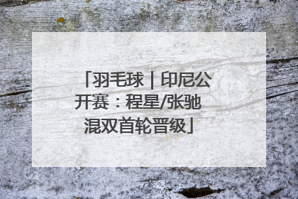 羽毛球｜印尼公开赛：程星/张驰混双首轮晋级